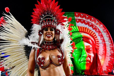 Бразильский карнавал в рио де жанейро