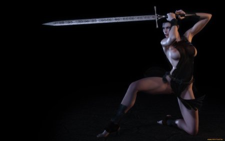 Девушка с мечами