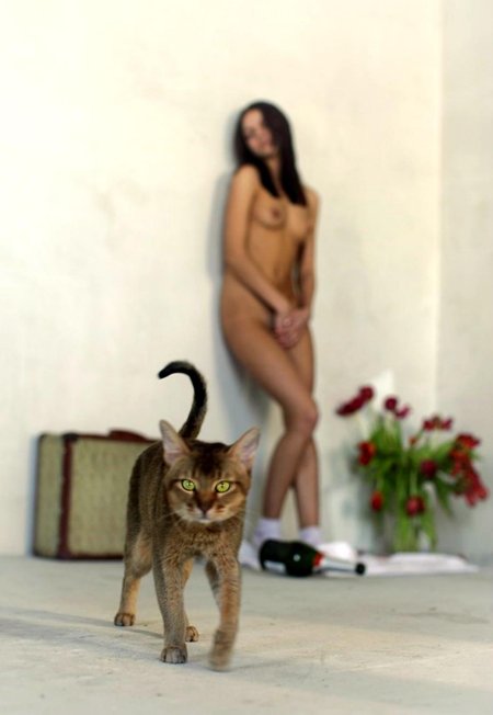 Голые женщины с котами