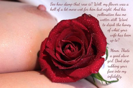 Фотосессия голой с розой