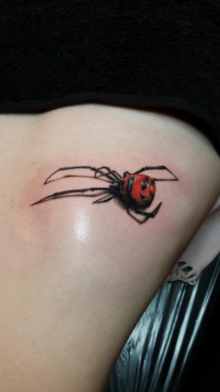 Паук каракурт тату