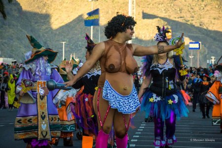 Бразильский карнавал в рио-де-жанейро