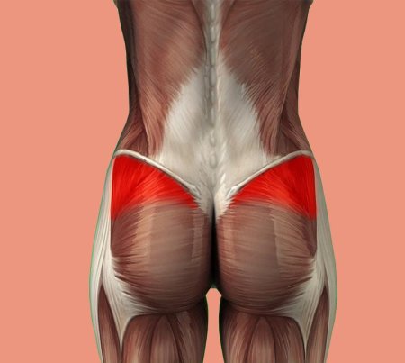 Упражнение на нижнюю часть ягодиц