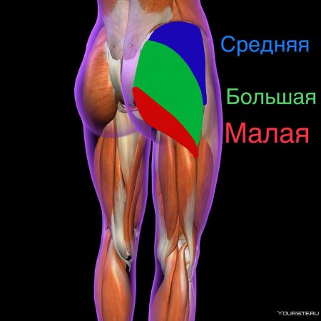 Упражнения для поднятия ягодиц
