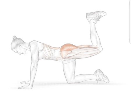 Упражнения для ягодичных мышц