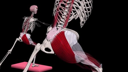 Большая приводящая мышца