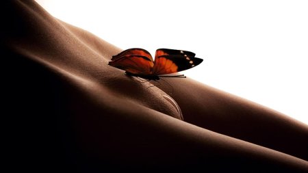 Бабочка в животе