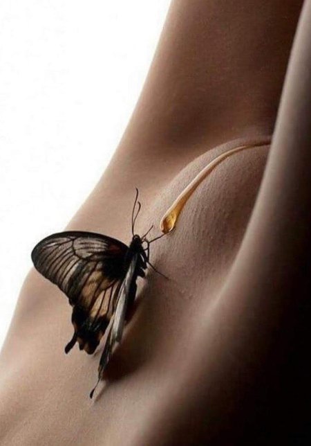 Голая бабочка