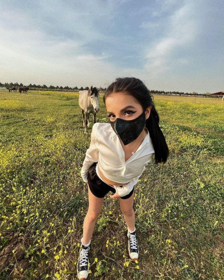 Амина тендерлибае