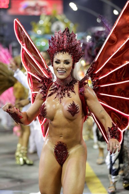 Карнавал рио (rio carnival)