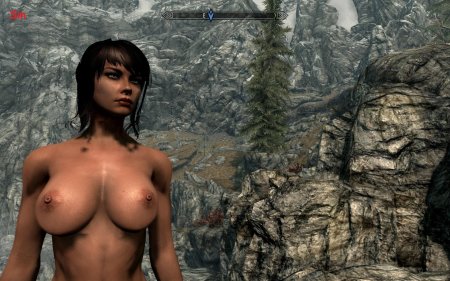 Мод на скайрим