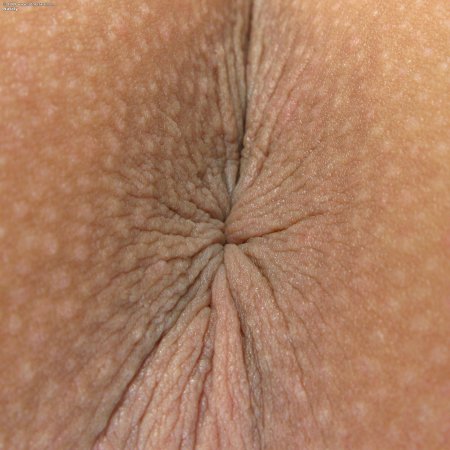 Красивые голые женские анусы