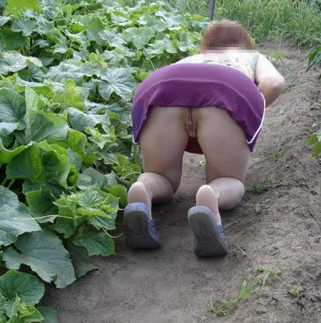 Женщины на огороде без трусов