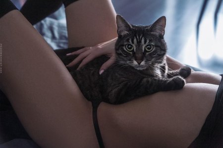 Красивая киска девушек