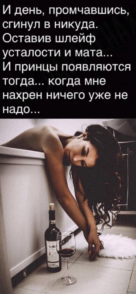 Красивые девушки и алкоголь