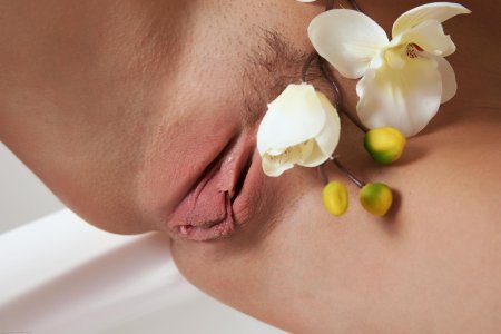 Цветок орхидеи