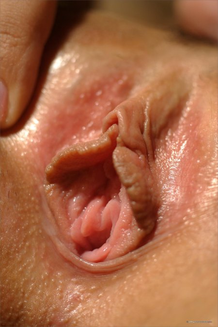 Вагина цветок