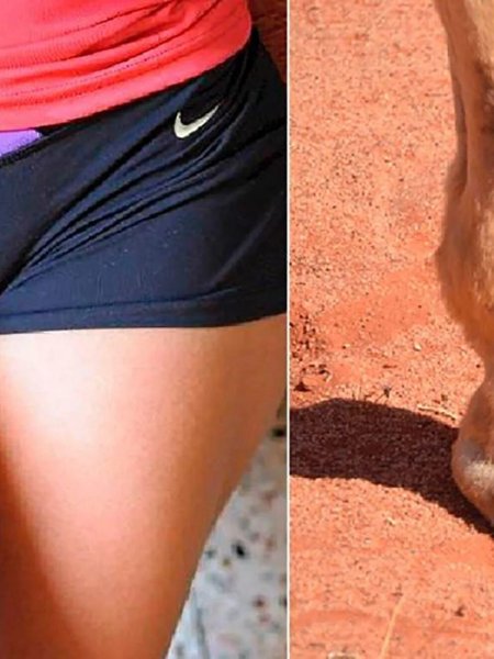 Бритни спирс верблюжье копытце