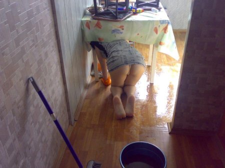 Домашние подглядывания