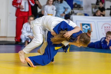 Соревнования по дзюдо