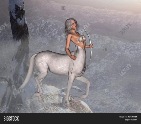 Зодиак сагиттариус стрелец