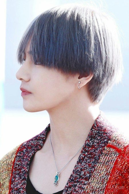 Ким тэхен маллет