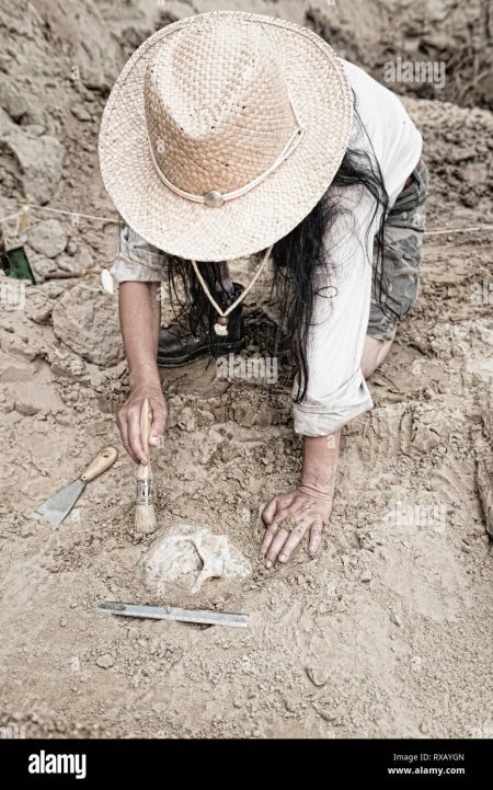 Rebecca bradshaw археолог