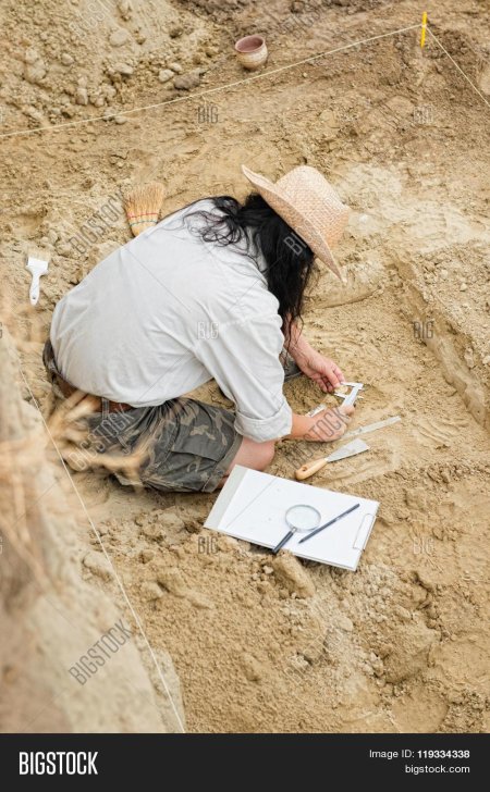 Профессия археолог