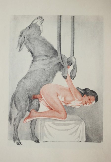 Средневековье скотоложество