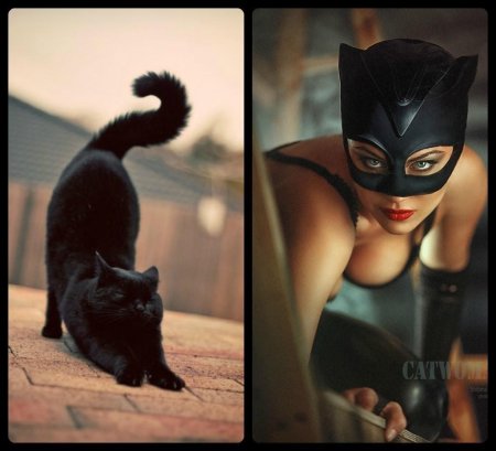 Сексуальная женщина кошка