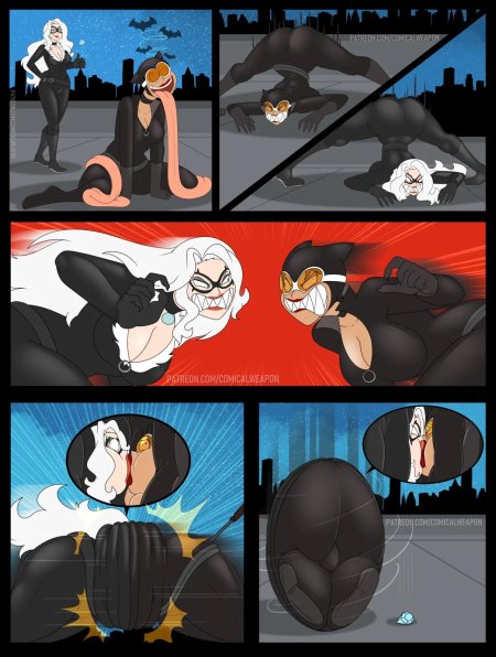 Catwoman vs black cat