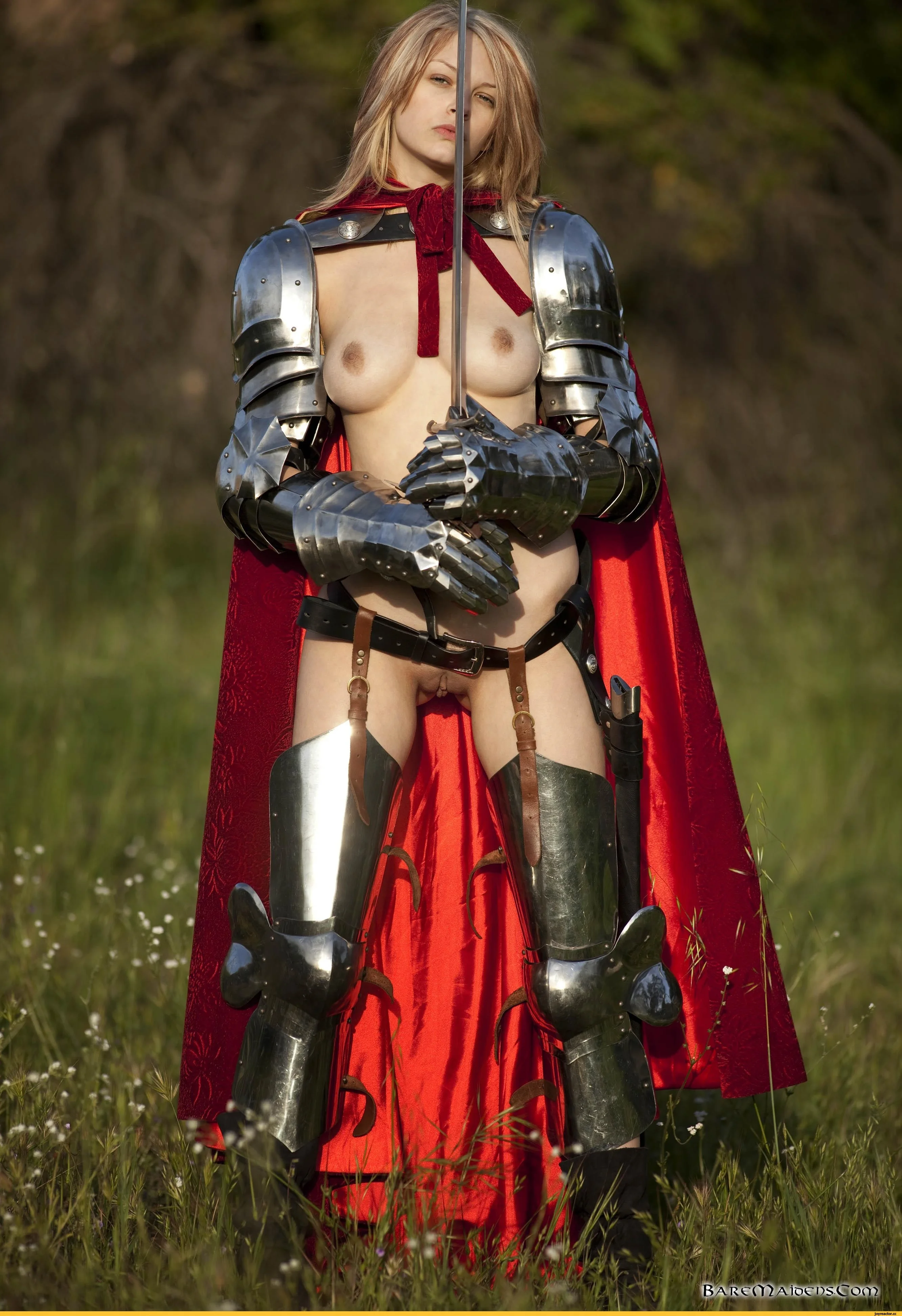Эротические девушки в доспехах