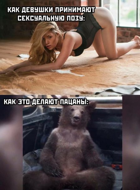 Мемы с надписями