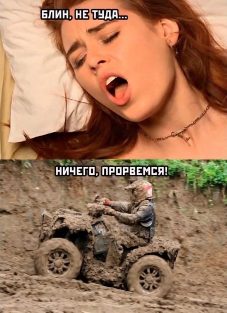 Мемы с надписями