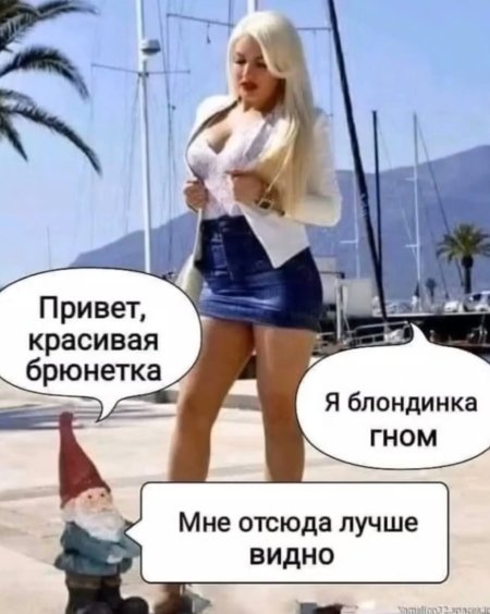 Я блондинка