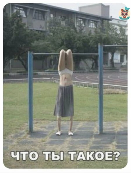 Прикольные картинки для поднятия настроения девушке