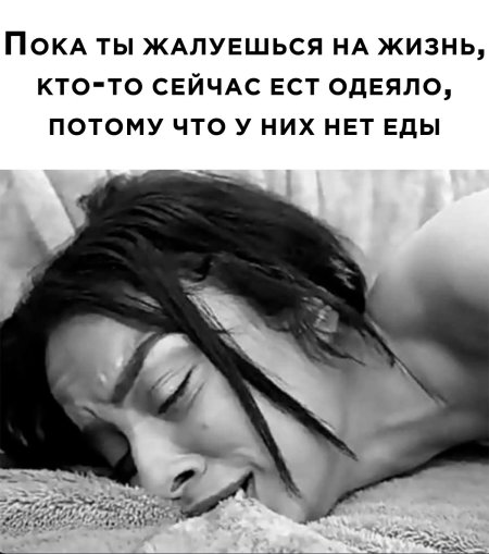 Кусачее одеяло