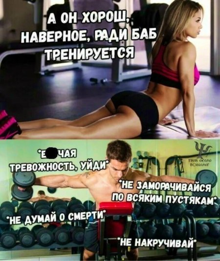 Шутки в тренажерном зале
