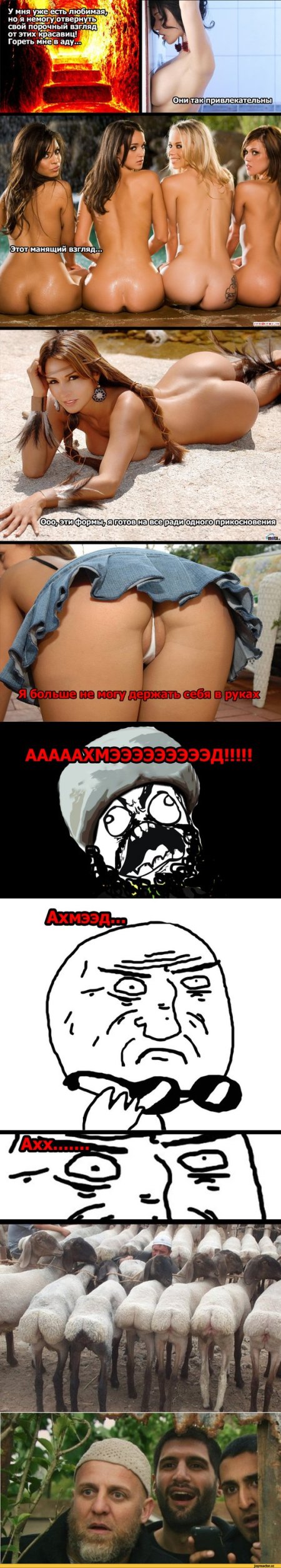 Эротические мемы в картинках