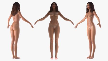 Poser Pro модели голые плоская