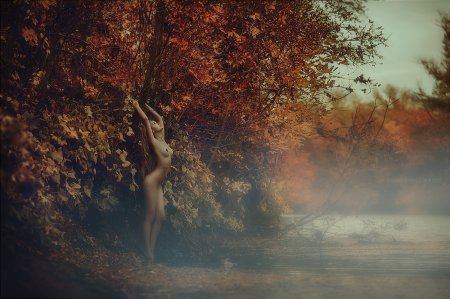 Художественная фотография ню