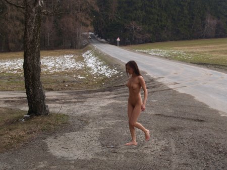 Дом у дороги обнаженка