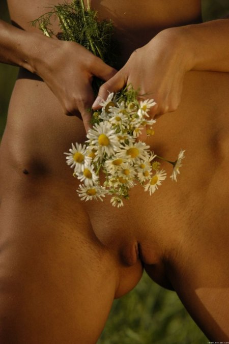Ромашки на голом лобке