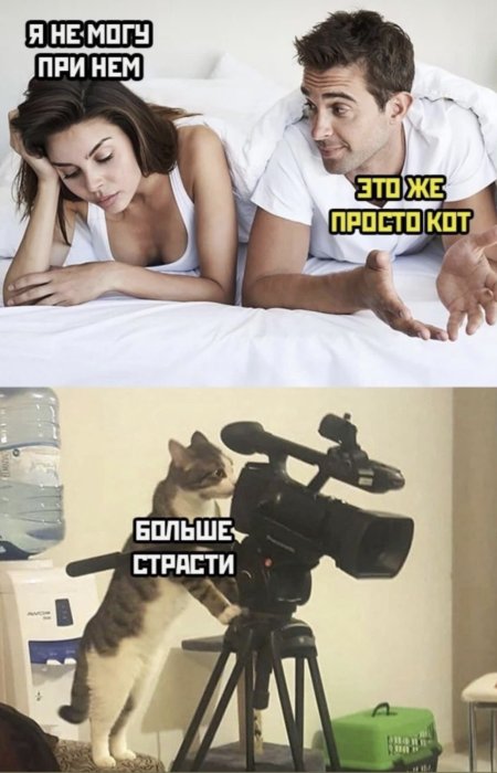 Мемы приколы