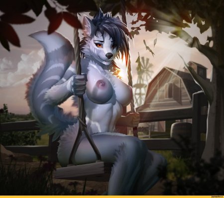 Волки и сиськи