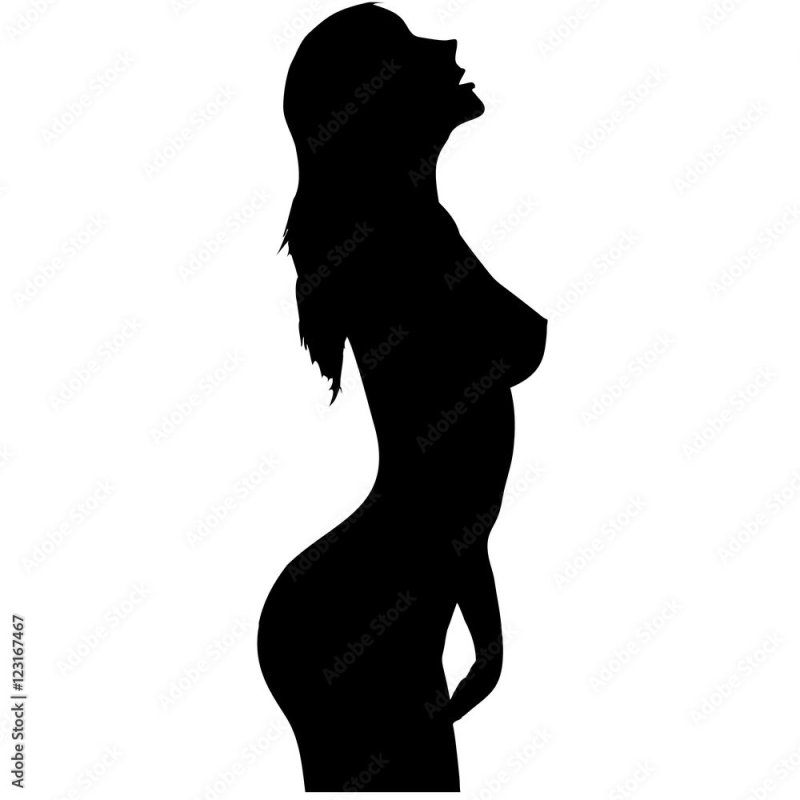 Силуэт груди