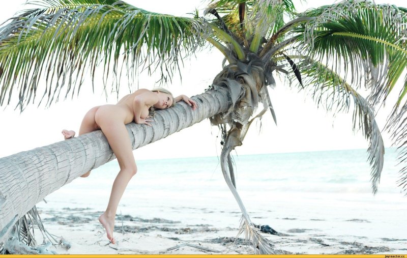 Девушка на необитаемом острове