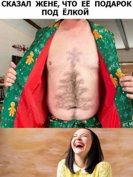 Мем подарок найдёшь под ёлкой