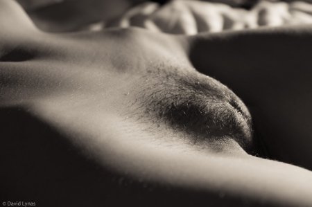 Фотосессия в стиле ню лобок