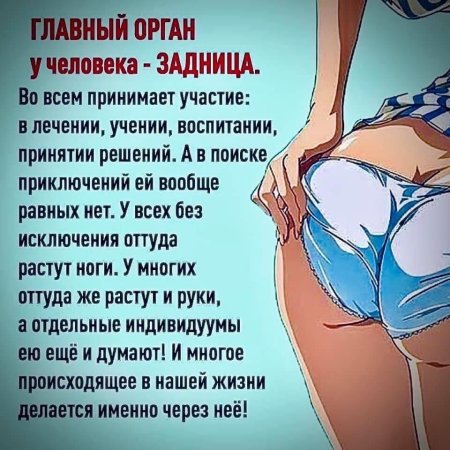 Главный орган у человека это задница